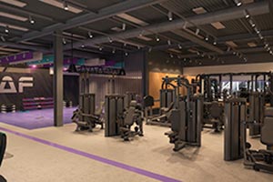 franquicia anytime fitness
